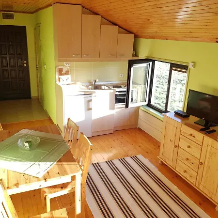 Hill House Lejlighed Zlatibor